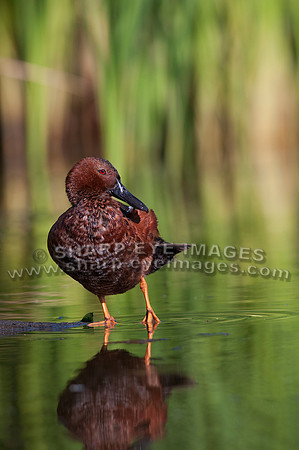 _DSC0317_web