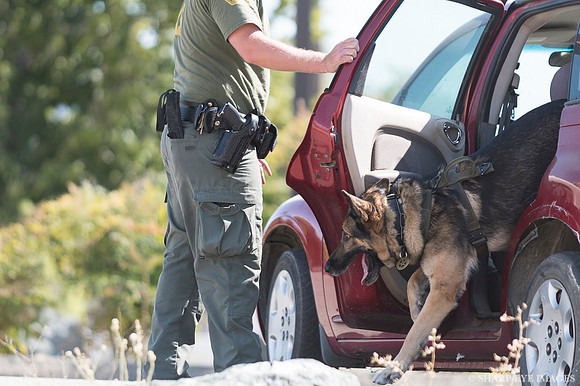_DSC8745