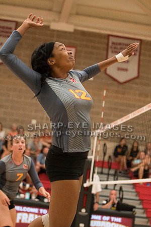 _DSC5784