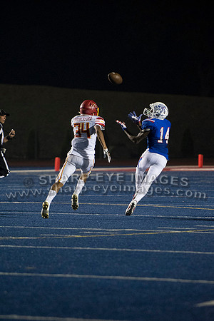 _DSC8731