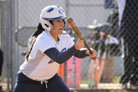 _DSC2593