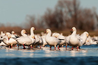 _DSC2093_web