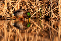 _DSC3203_web