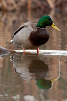 _DSC1939_web