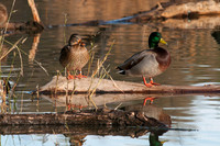 _DSC2324_web