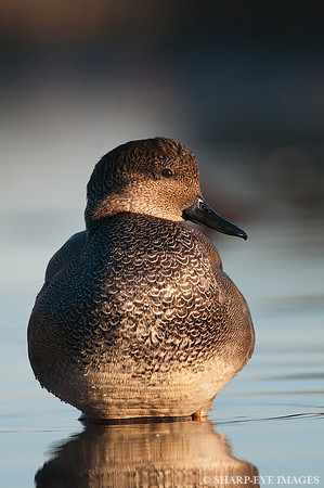 _DSC6776_web