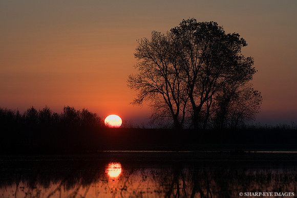 _DSC5541_web