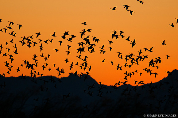 _DSC0645_web