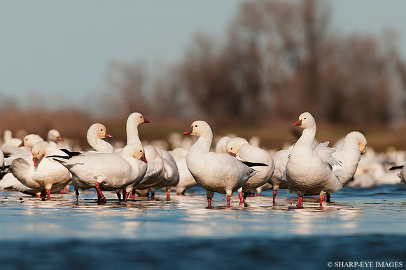 _DSC2093_web