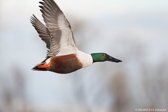 _DSC0263_web