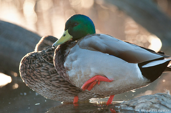 _DSC2380_web