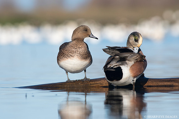 _DSC0560_web