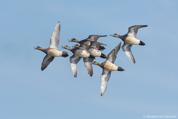 _DSC3055_web
