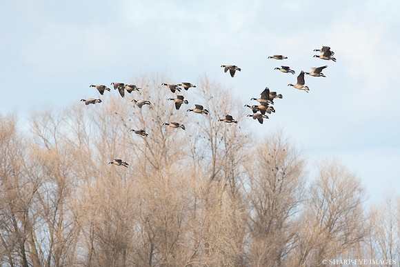 _DSC5051_web