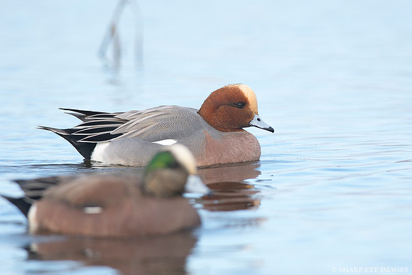 _DSC2608_web