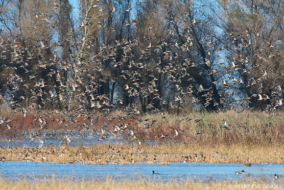 _DSC5050_web