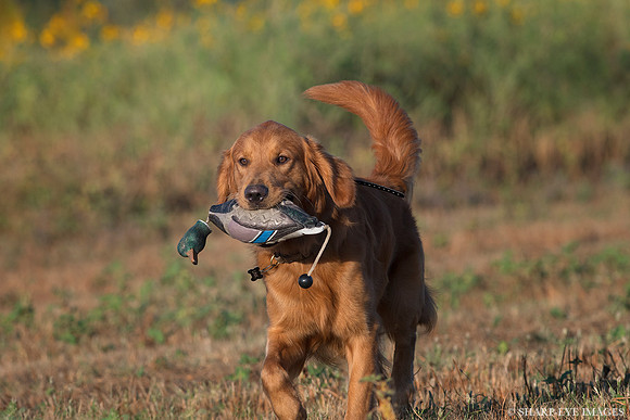 _DSC5644_web