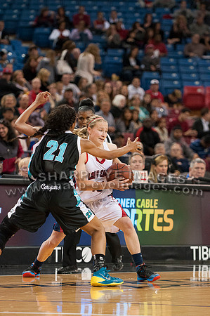 _DSC5519