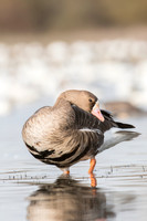 _DSC1903-web