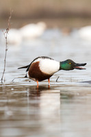 _DSC1490_web