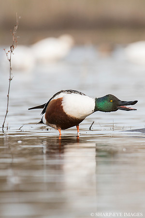 _DSC1490_web
