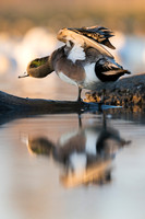 _DSC0610_web