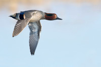 _DSC4809_web