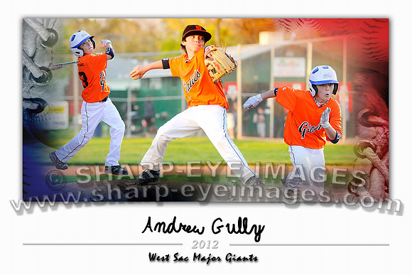 Andrew GullySigSeries_12x18
