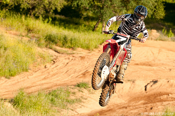 -2799_zen